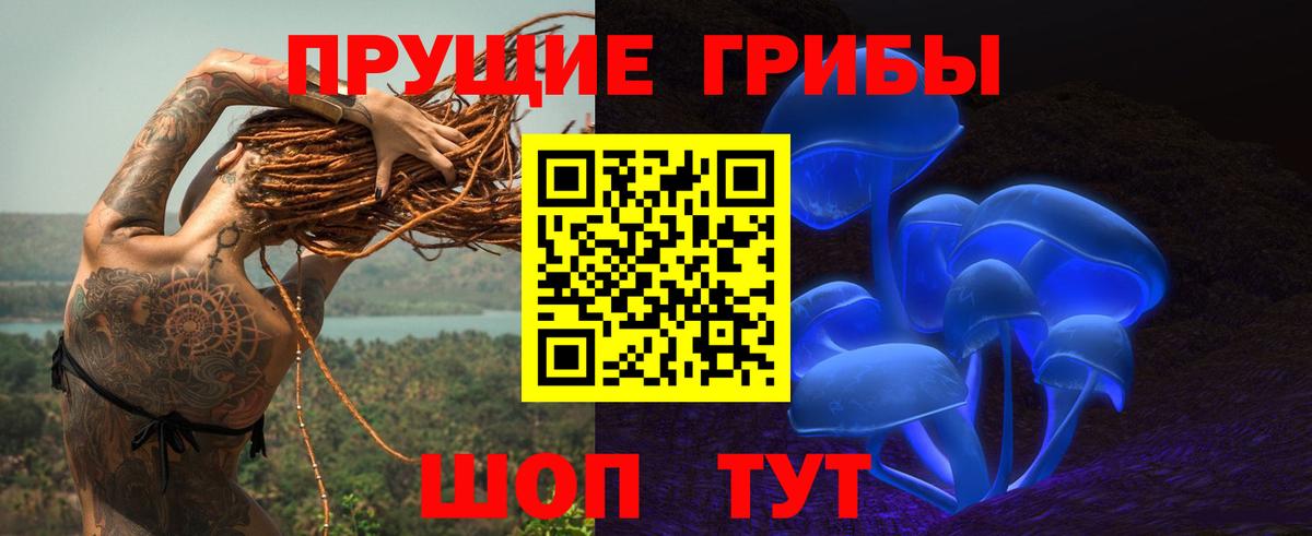 Галлюциногенные грибы Psilocybe Кизляр